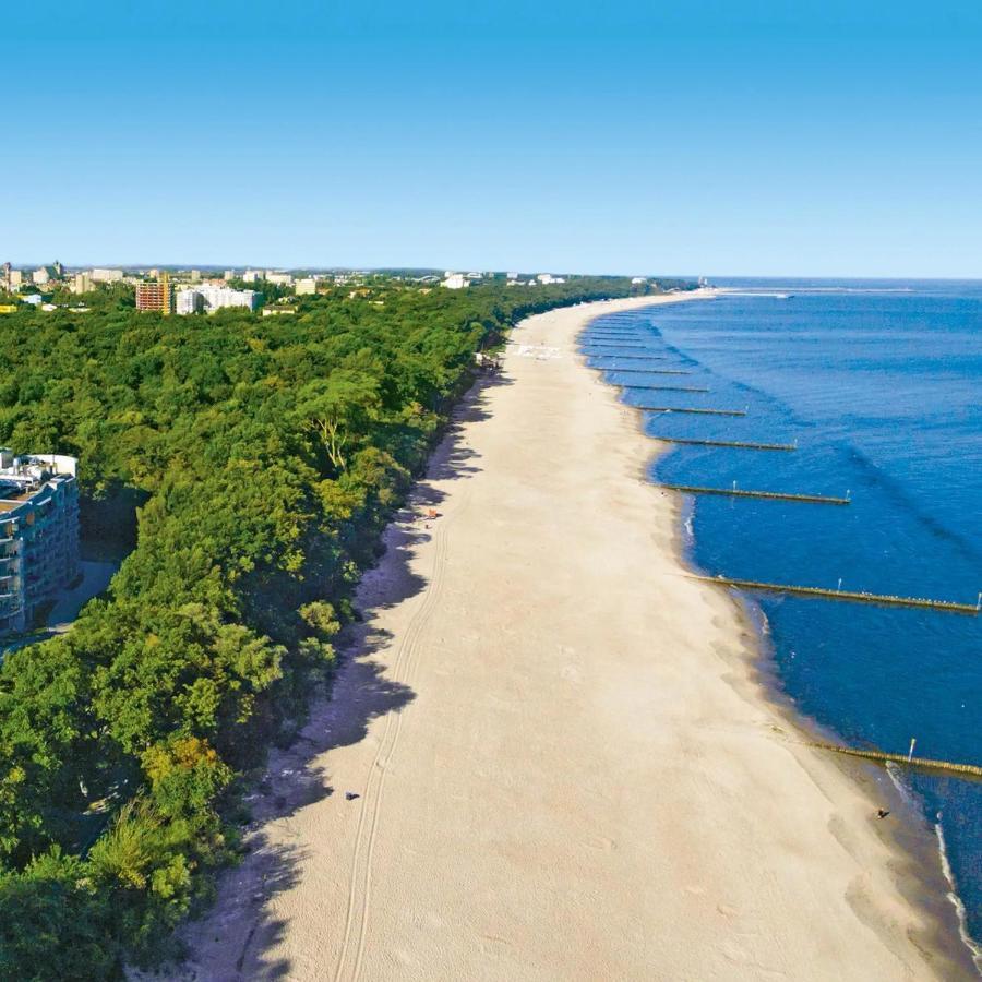Diva Hotel: Beachside With Balcony And Amenities *